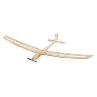 RC AirPlanes Laser Cut Balsa Wood Airplanes F25 AION-25 Balsa glider kit 2500MM (98\