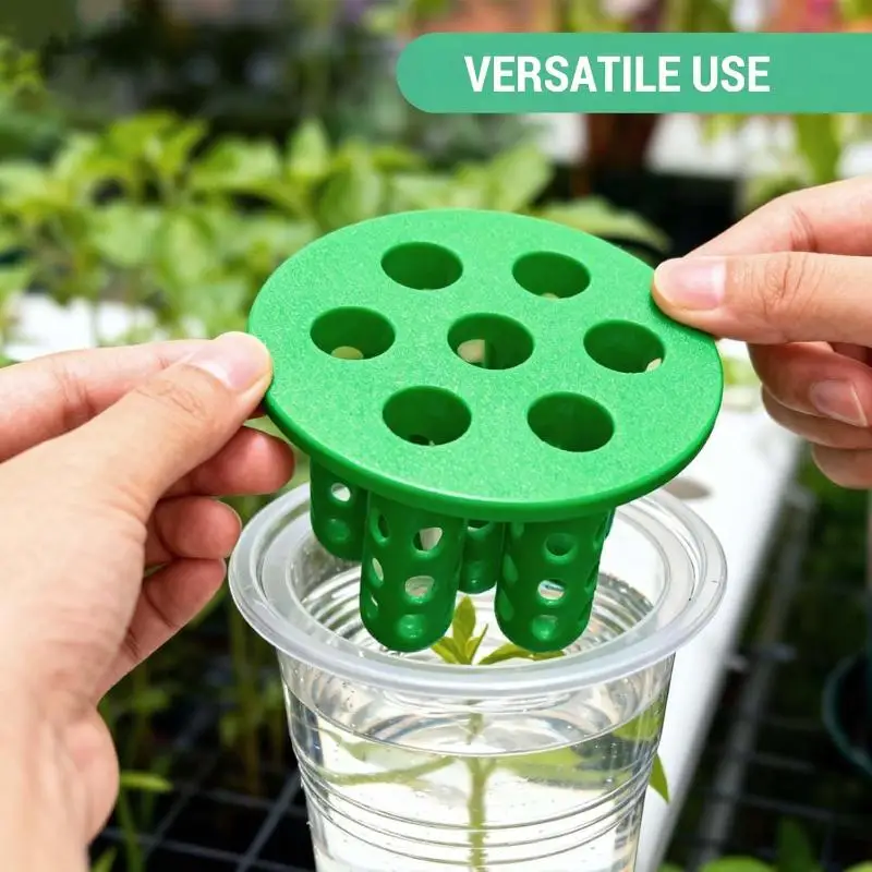 7 Holes Green Onion Planter Hydroponic Grower Kit Clear Reusable Scallion Seedling Tray Mini Vase For Plant Vegetable Sprouting