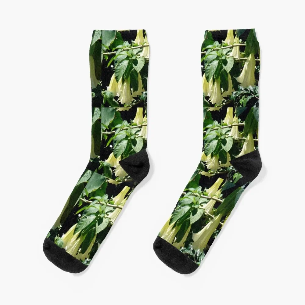 Datura Blooms - Hawaii Socks crazy retro shoes Socks Men Women's