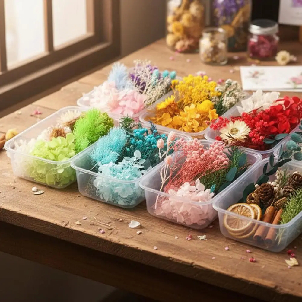 Kit de Manualidades con Flores Preservadas, Flores Secas Realistas Multicolores para Velas, Yeso, Marcos de Fotos, Material para Actividades DIY