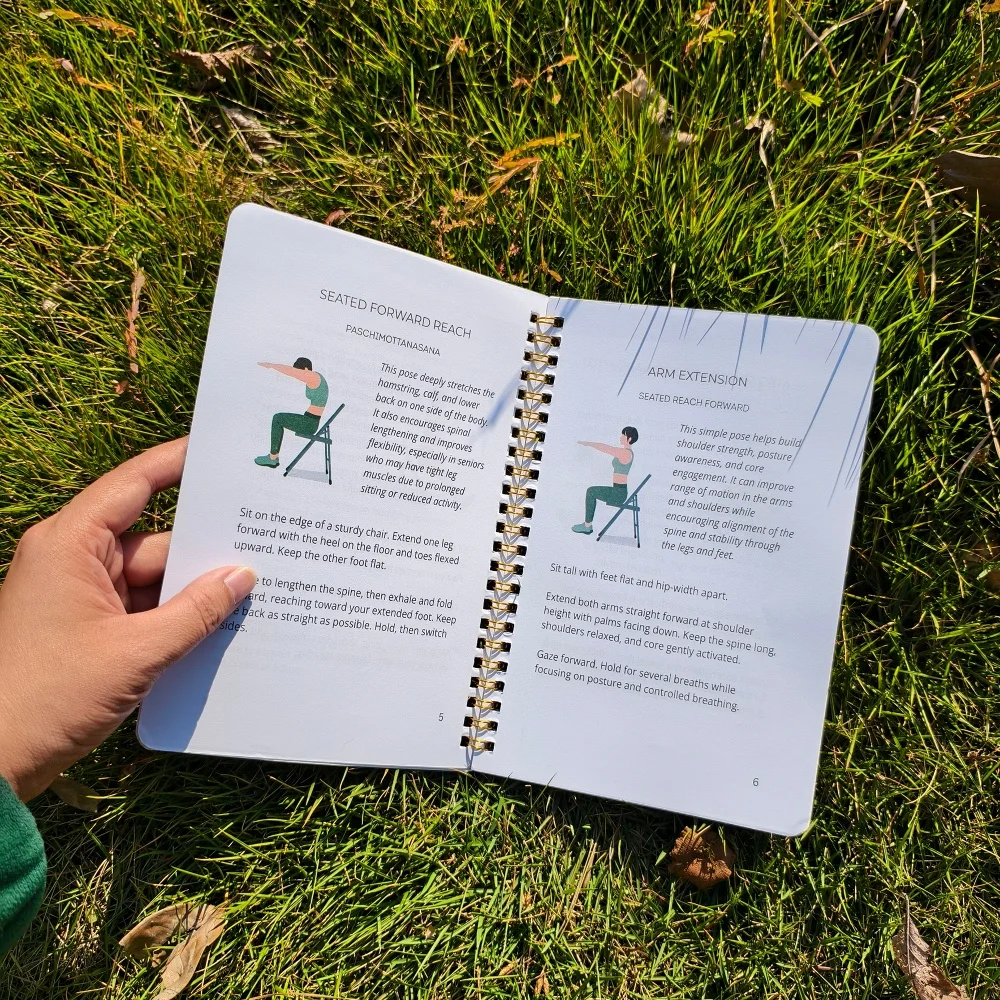 30-Day Chair Yoga Plan, Adult  - đánh giá và giá Home Improvement Guide