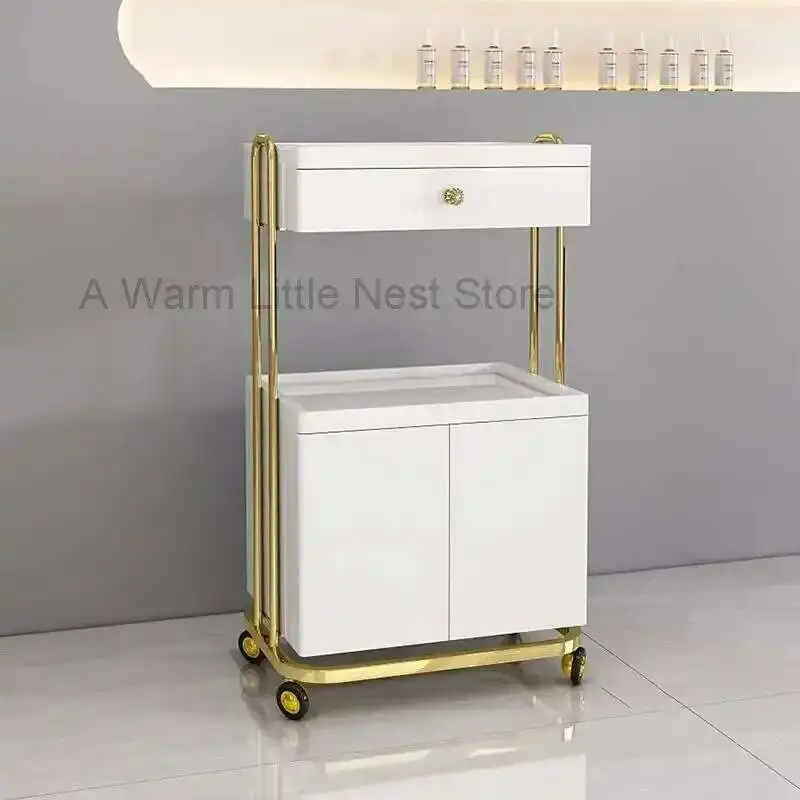 

Utility Beauty Salon Tattoo Trolley Barber Hair Salon Tool Trolleys Cosmetic Spa Salon Furniture Auxiliary Storage Cart F