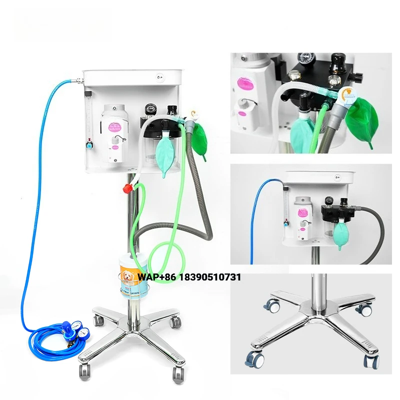 Manufacturer Veterinary Equipment Veterinary Machines Veterinary  Pet Clinic Diagnostic Use