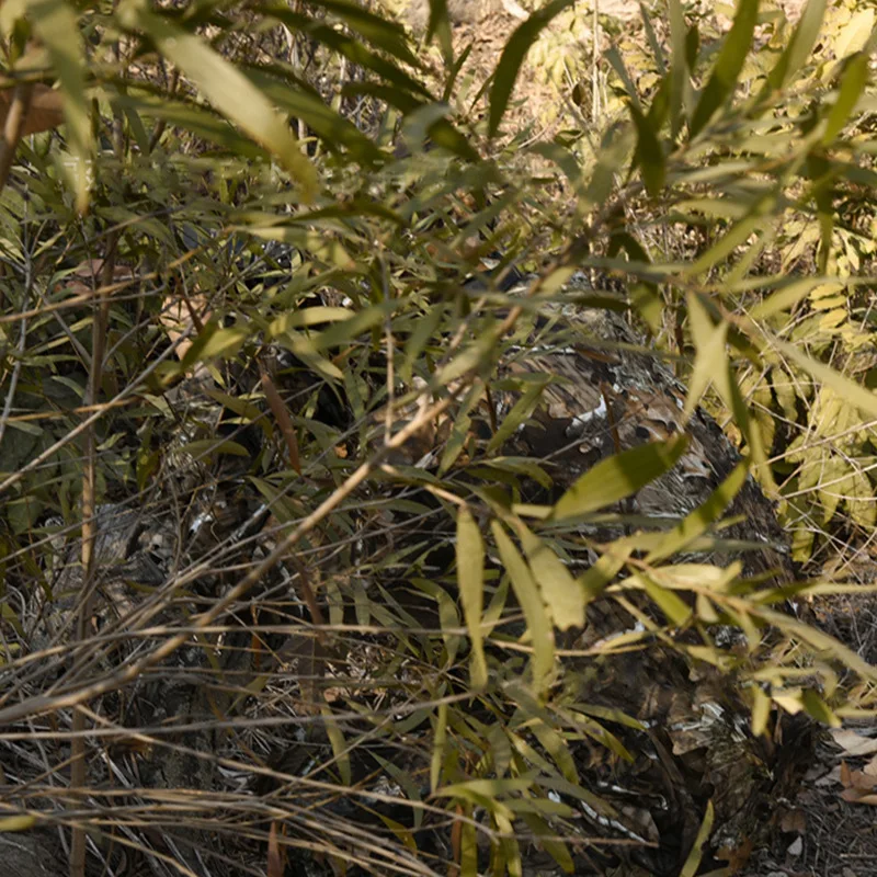 Immagine 7: Tuta Mimetica Ghillie 3D con Foglie, Leggera, per Caccia, Tiro e Airsoft