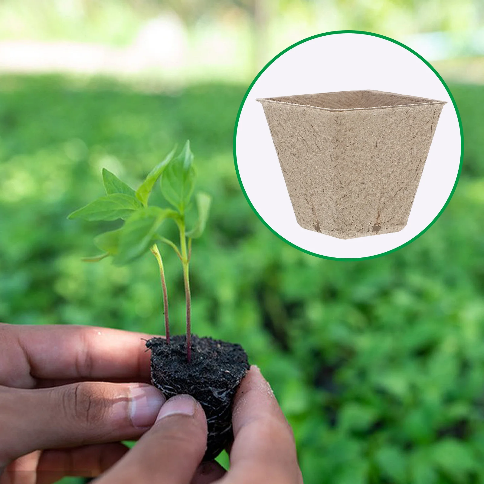 

50pcs Square Seedling Pots Kit For Gardening Diy Paper Plant Starter Containers With Drainage Holes Flower Growing