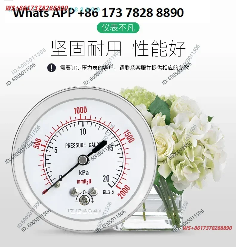 Diaphragm pressure gauge YE60Z steel shell axial borderless stainless steel shell with zero adjustment thread 1/4 micro