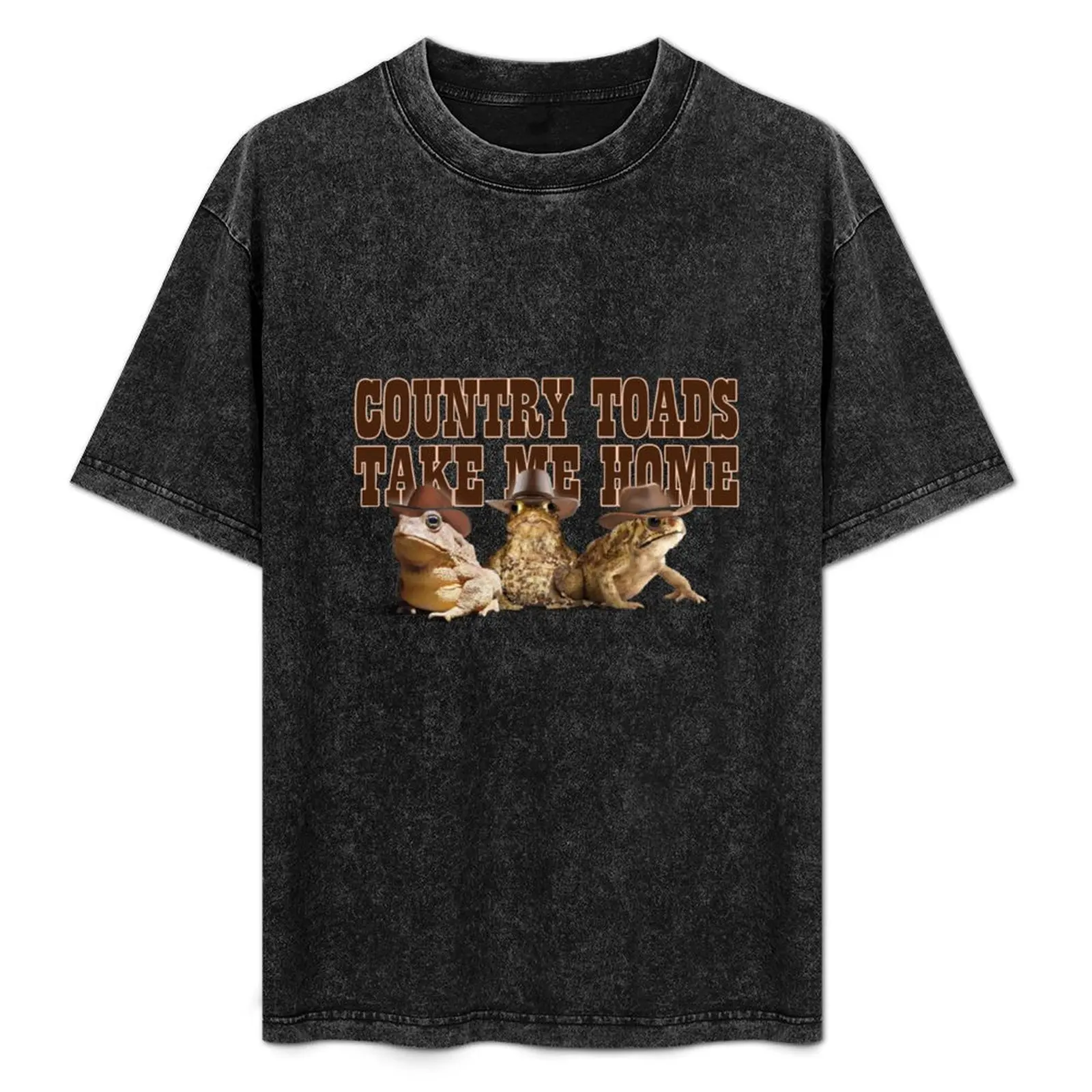 Country Toads Take Me Home Classic T-Shirt quick-drying custom shirt oversized t shirt graphic tee shirt men clothes