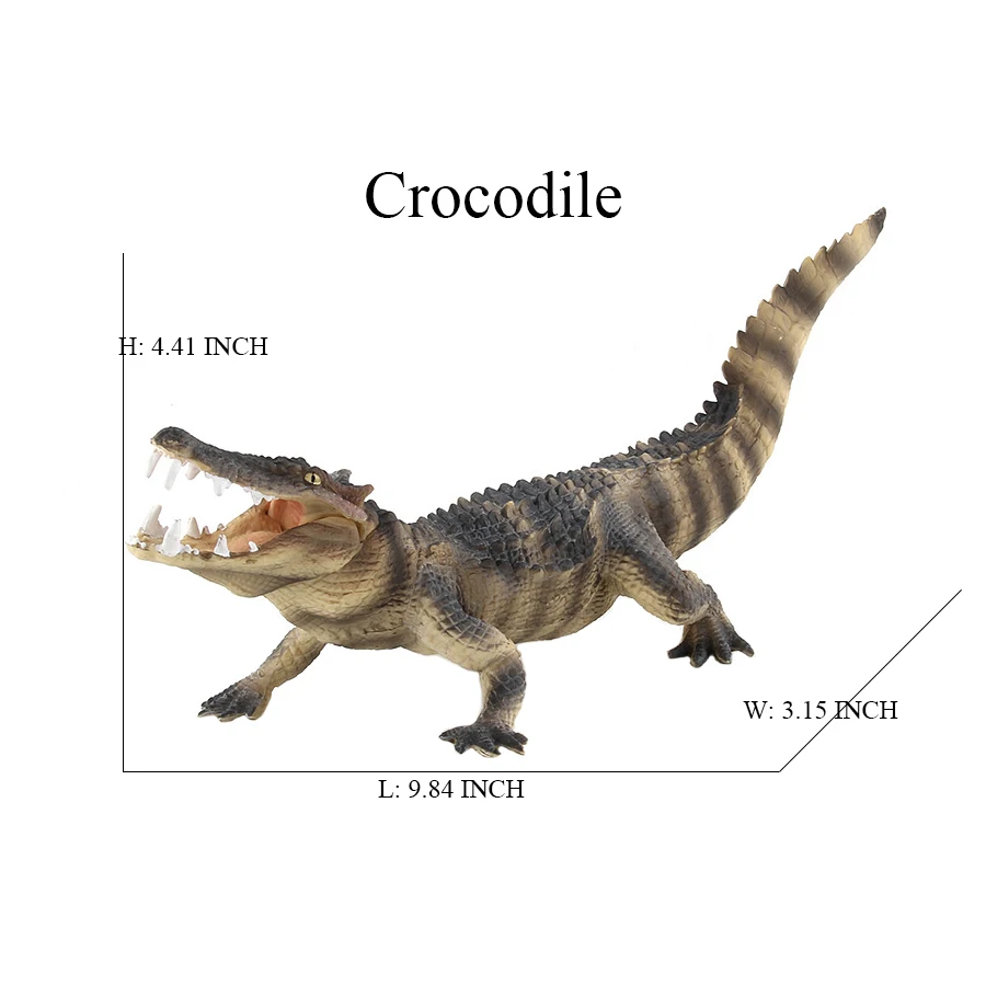 Giocattolo di coccodrillo Figure Giocattoli Modello di coccodrillo Ciclo di vita Playset Figurine di animali Action Figure Rettile Animali Regali per bambini Giochi
