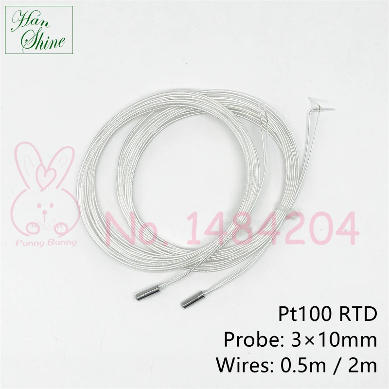 2 Wire Pt100 RTD Mini Probe 3mm * 10mm High Temperature Sensor Cable 0.5m 2m Platinum Resistance Detector