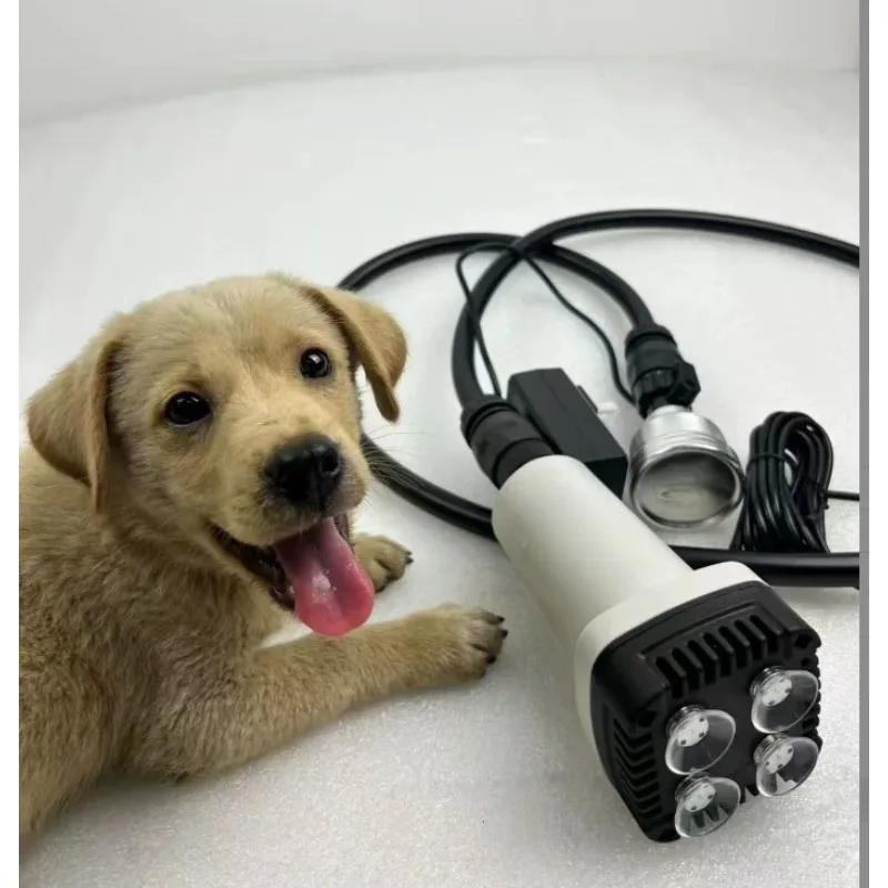 Small Dog SPA Bubble Bath Machine with Booster, Portable Pet Shower Washer for Puppy Daily Cleaning and Home Grooming