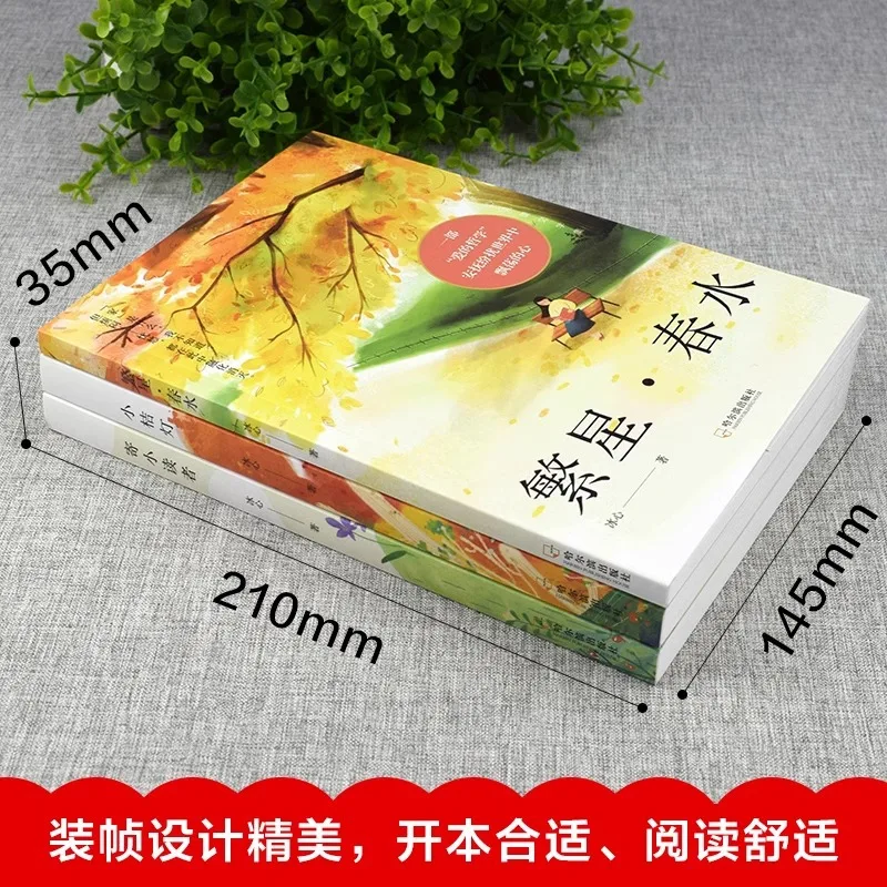 Children's Literature Collection Starry Stars Spring Water Little Orange Lantern Sending Extracurricular Books To Young Readers