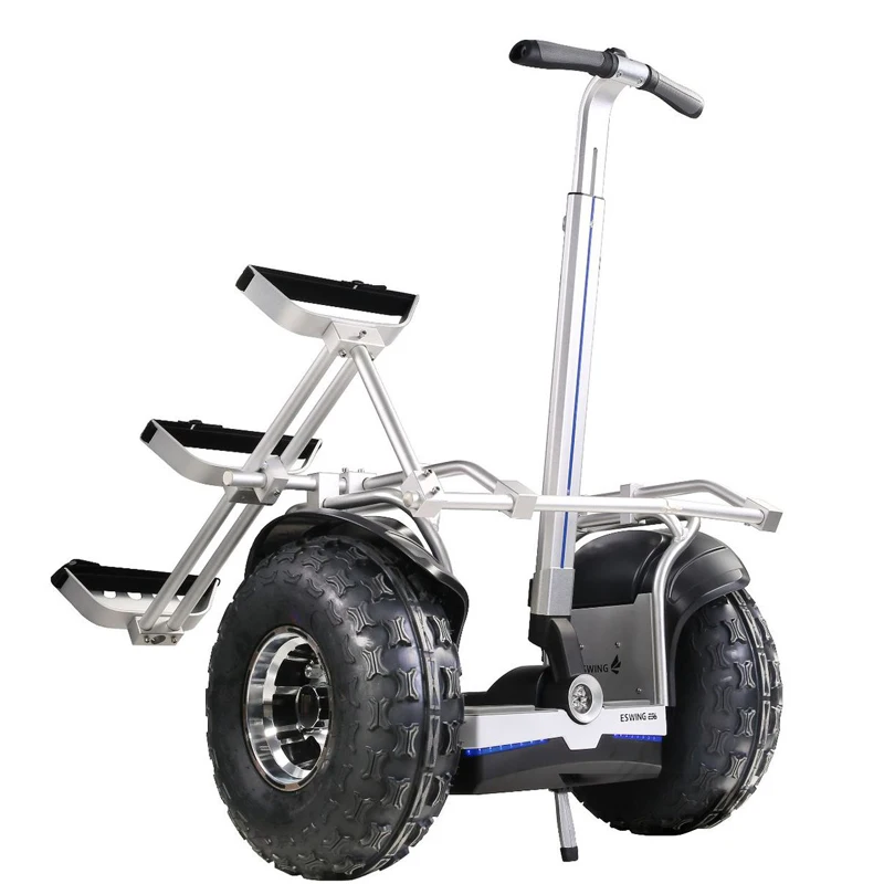 19 Inch Fat Tire for Hoverboard Electric Golf Carts Popular with Golf Bag Holder and Removable Battery Max Load 150kg