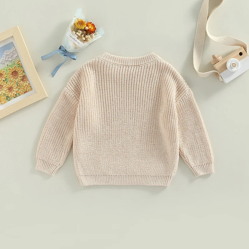 Infant Toddler Crew Neck Sweaters Cozy Long Sleeve Knit Pullovers in Vibrant Solid Colors for Little Ones