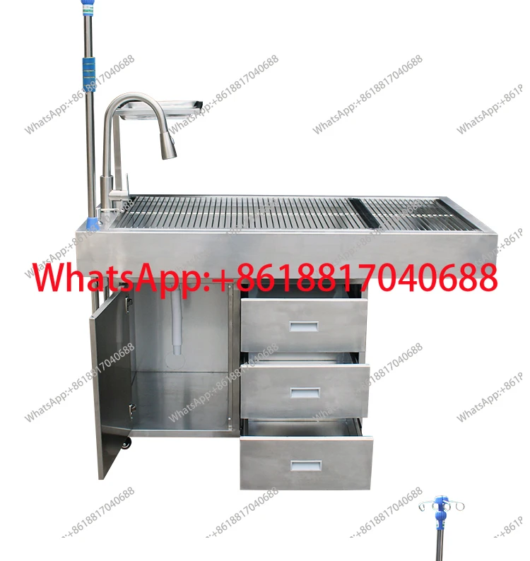 Mesa de tratamiento des animaux chien dents nettoyage mesa soufflage animaux de compagnie mesa de operación PET belleza
