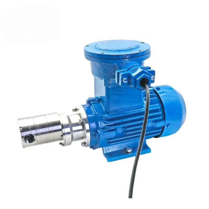CIXI Stainless Steel PTFE Seal Small Flow Explosion Proof Zero Leak Chemical Magnetic Gear Pump