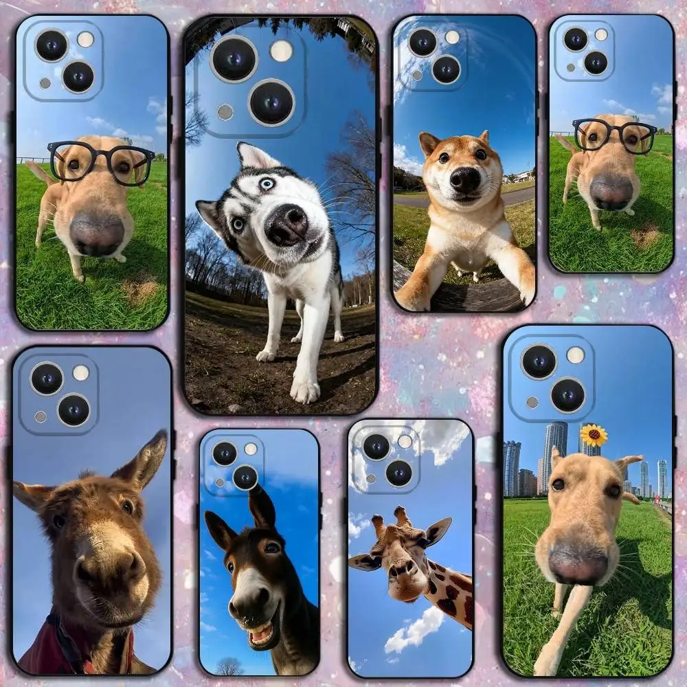 

Funny Cute Animal Phone Case For iPhone 17,16,15,14,13,12,11 Plus,Pro Max,XS,X,XR,SE,Mini,8,7,Soft Silicone Black Cover
