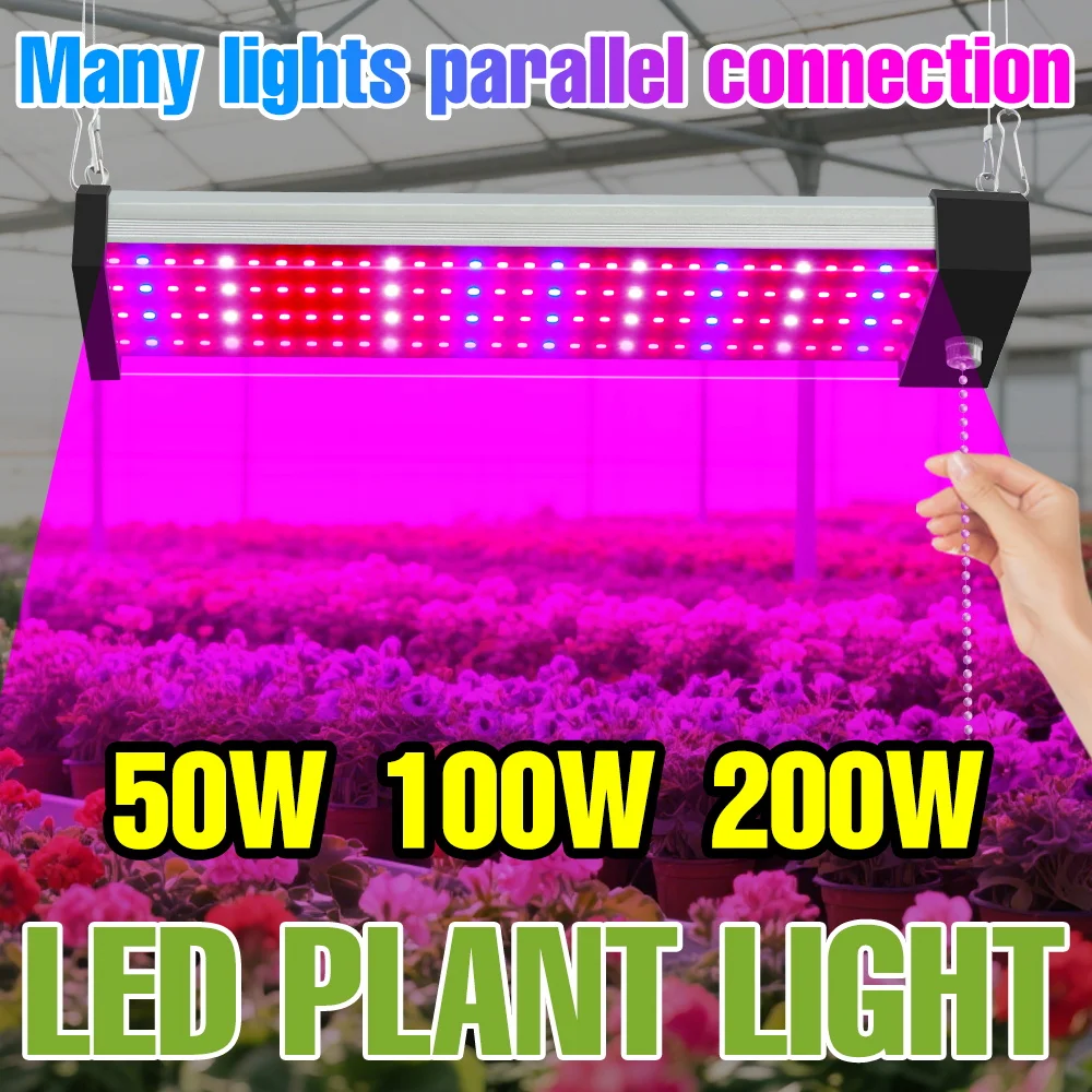 

200W LED Plant Grow Lights Full Spectrum Quantum Board Hydroponics Cultivation Lamp For Greenhouse Growth Tent Tomato Vegetables