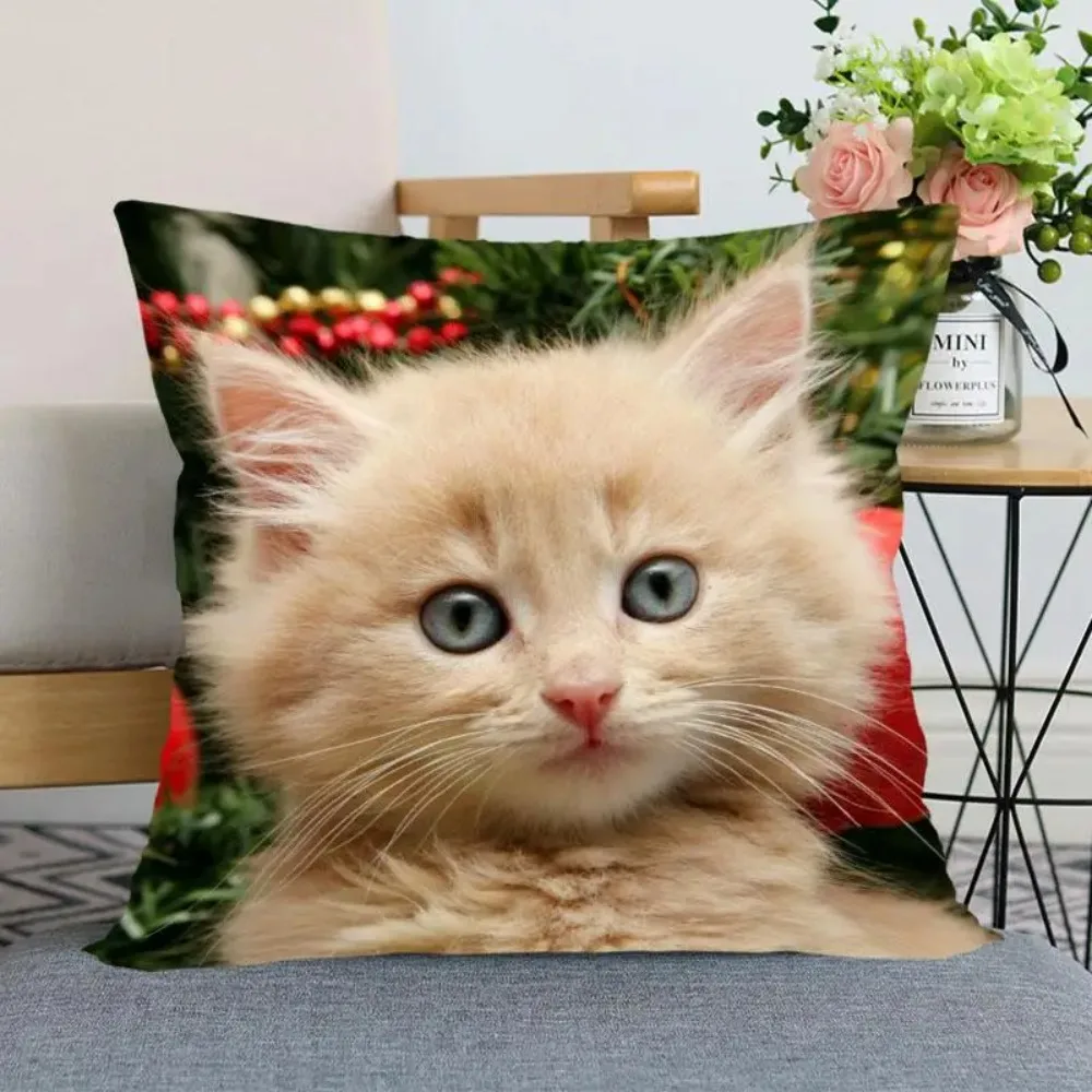 45x45cm Cat Pattern Real Animal Pillowcase Home Decor  Zipper pillow cases  covers decorative