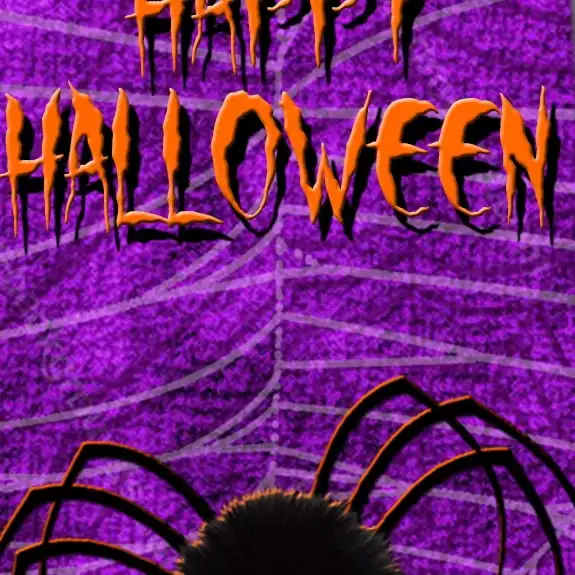 Halloween Ties Mens Spider Necktie Happy Halloween Tie One Size Print Men Gift