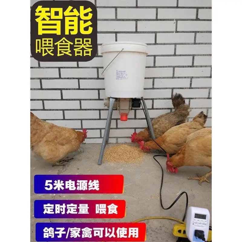 220V pigeon automatic feeding trough timing intelligent poultry feeding machine