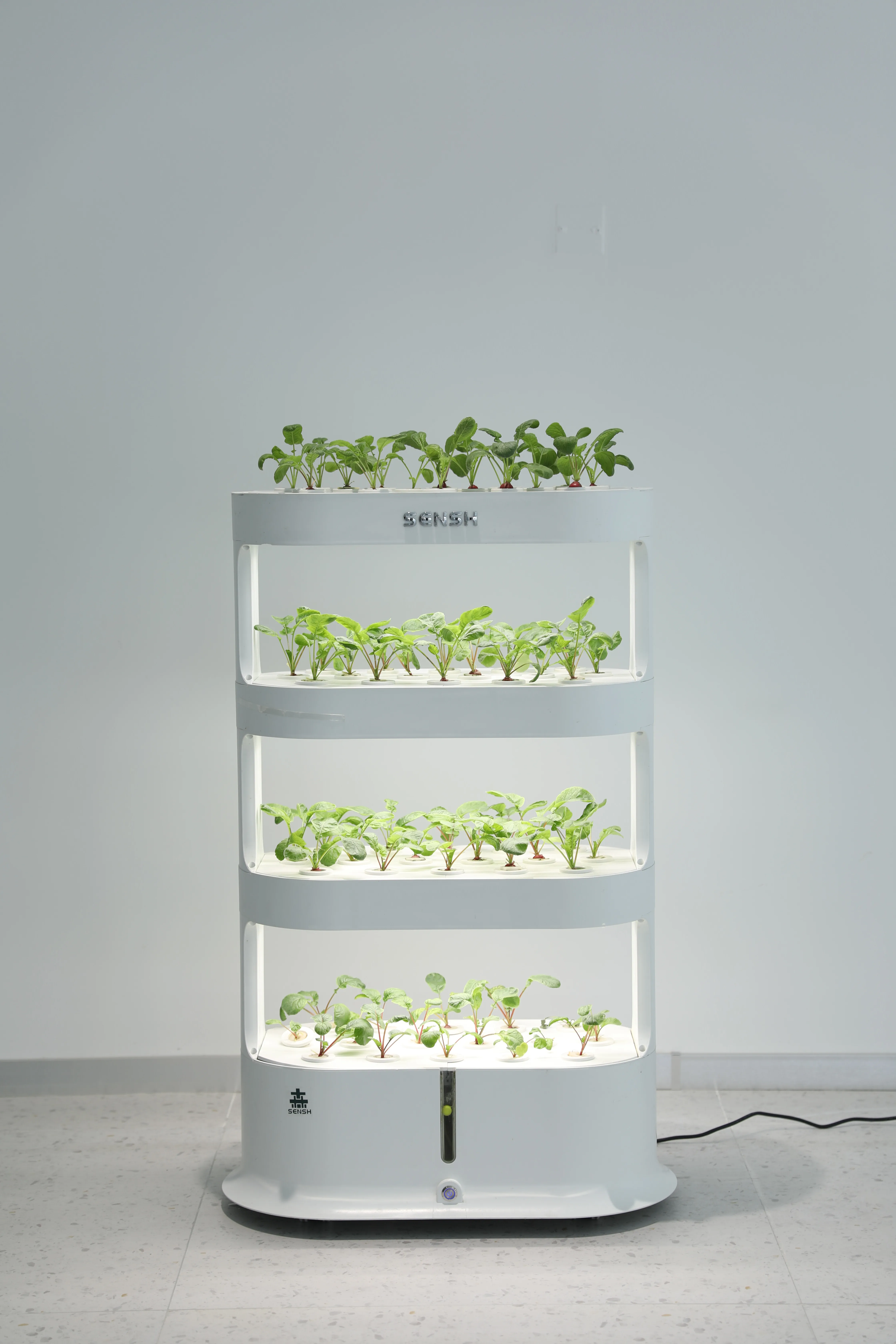 Peternakan Urban dengan Produk - Urban Farming Vegetables ulasan dan harga