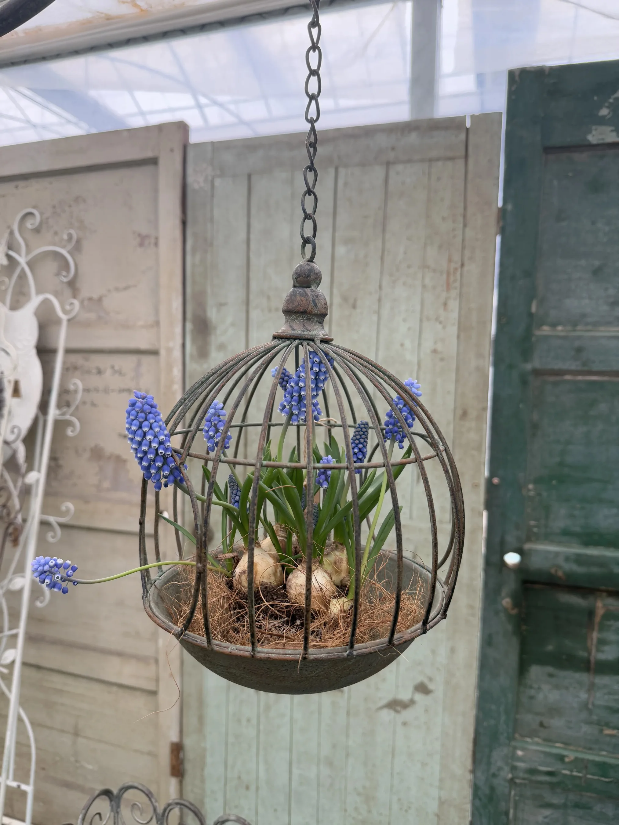 Vintage Rustic Iron Hanging Birdcage Planter, Round Garden Decor with Chain, 7.5 Inch Diameter, 21.7 Inch Height, Antique Bronze
