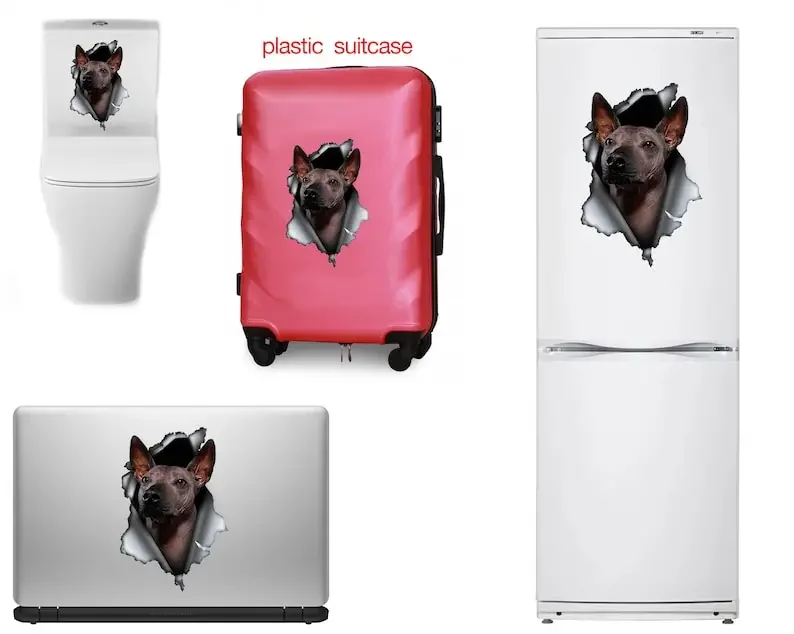 Xolo decal, Xolo sticker, Xolo magnet, Xoloitzcuintle magnet, Xoloitzcuintle sticker