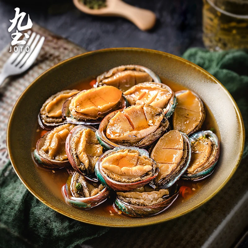 

JOTO Handmade Creative Rustic Ceramic Dinner High-Quality Ceramic Plate CJR0518