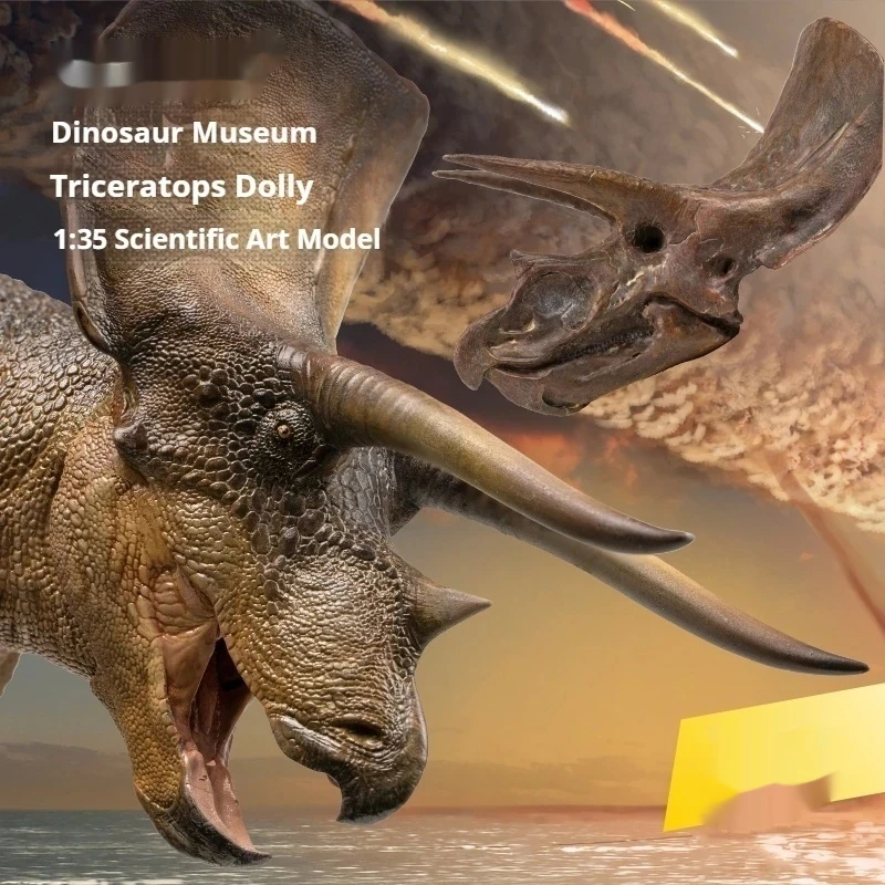 

New version of Triceratops Dolly with Triceratops Skull Dinosaur Museum high-quality scientific and artistic model desktop ornam