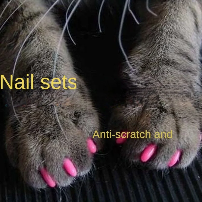 

Pet Nail Cover Anti Scratch Cover Suitable For Dogs Cats Nail Covers Cat Dog Paw Covers Anti Cat Scratch Cat Accessories