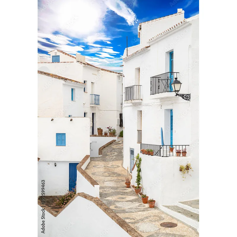 Flower  Seaside Island Scenery and Green Plants Old House White Pigment Wedding Photography Background Prop LJD-06