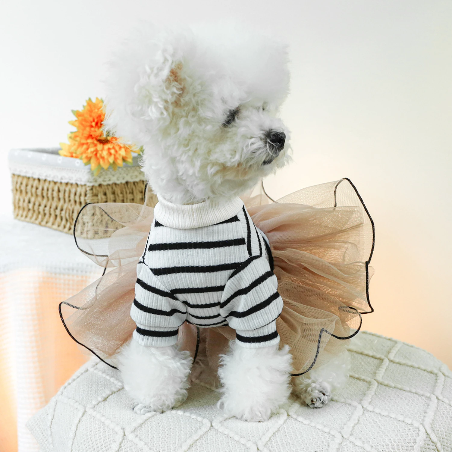 ted charm. Perfect for special occasions or everyday wear, this luxurious pet attire will make your furry friend the envy of the