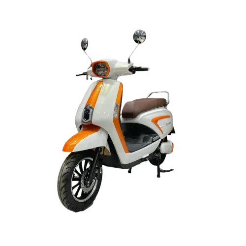 High Performance Adult 2 Wheel Scooter Fast Electr Motorbike 1000w Ckd Long Range Waterproof Moto Dual Motor Electric Motorcycle