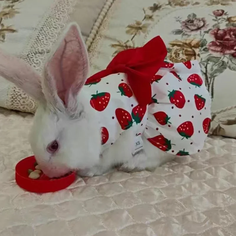 

Cute Print Rabbit Clothes Summer Pet Dresses with Bow for Cats Rabbits Small Animals Clothing Outfit Bunny Dress Pet Supplies
