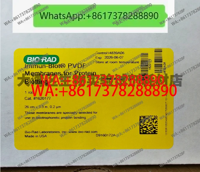 Bio-Rad 162-0177 Pv…