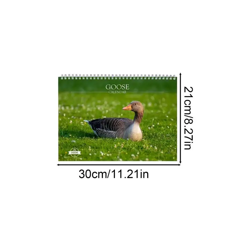 Animal Monthly Wall Calendar Annual Schedule Wall Planner Practical And Fun Annual Yearly Planner For Home Study Room Offices