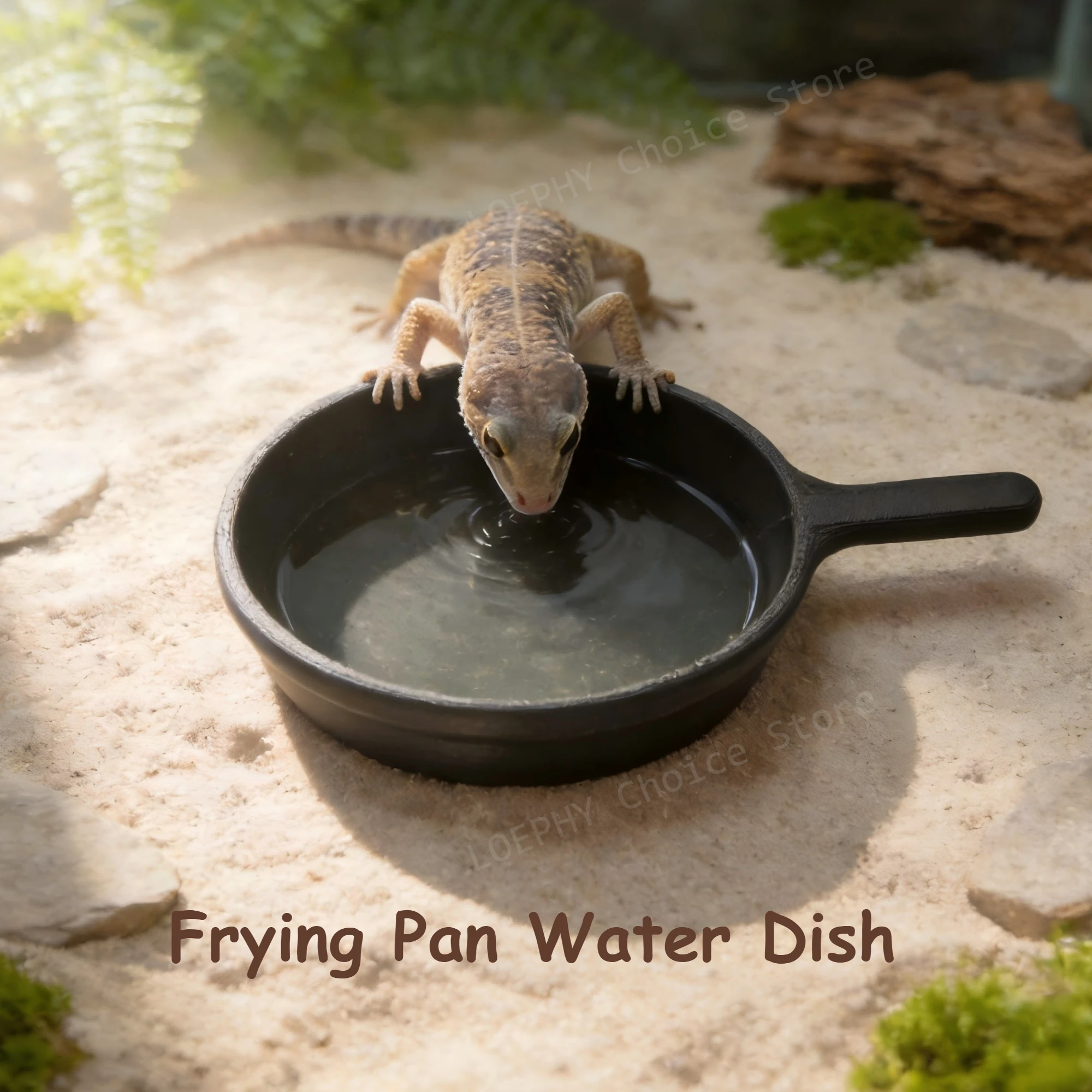 Gamelle pour gecko au design amusant en forme de poêle à frire, en PETG de qualité alimentaire, pour léopard de gècko, gecko cranté, dragon barbu, pour l'aménagement de terrarium