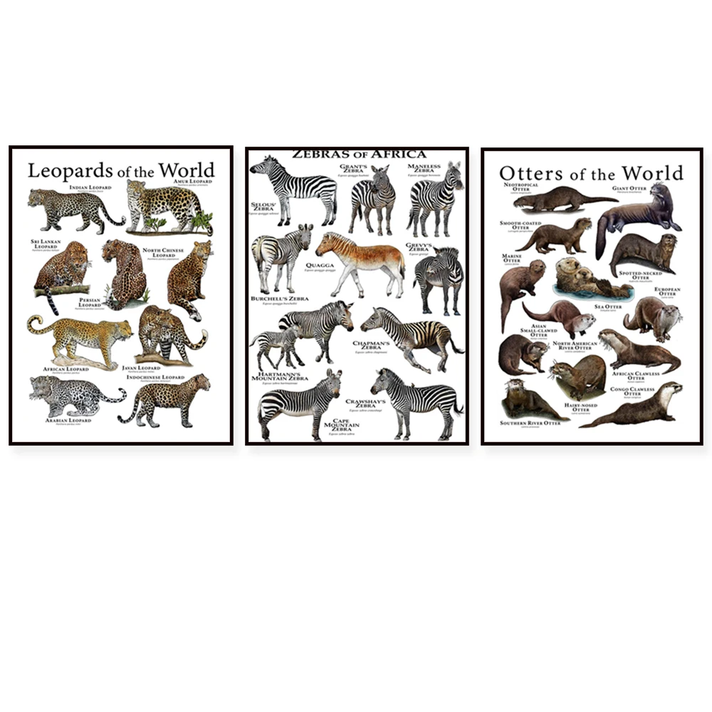 African primate poster, asian endangered tiger, horse, deer, african zebra, bobcat, otter, field guide, leopard animal poster