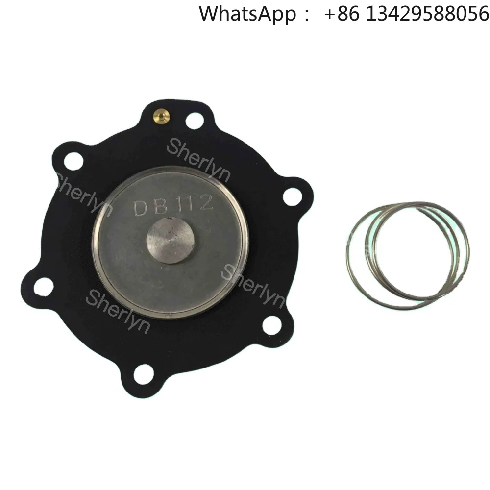 

DB112 Diaphragm Repair Kit 1.5-inch DB112V VNP212 VEM212 VNP312 FKM Customization