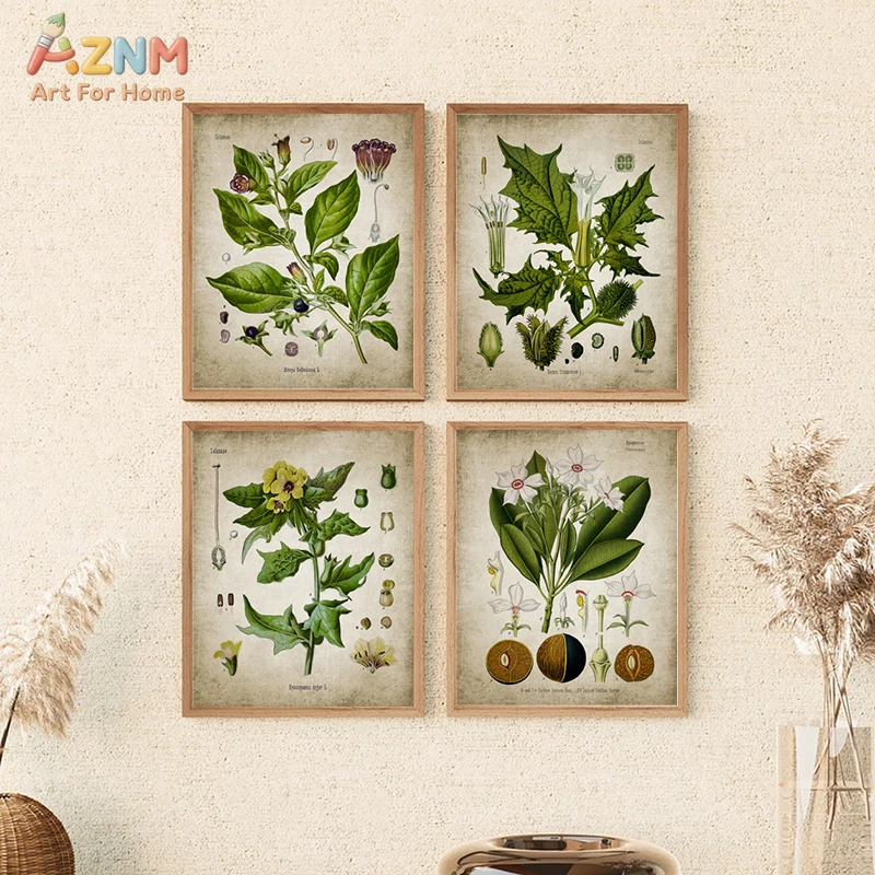 AZNM Vintage Botanical Poisonous Plant Canvas Wall Art Retro Antique Herb Flower Illustration Rustic Cottage Neutral Unframed Ho