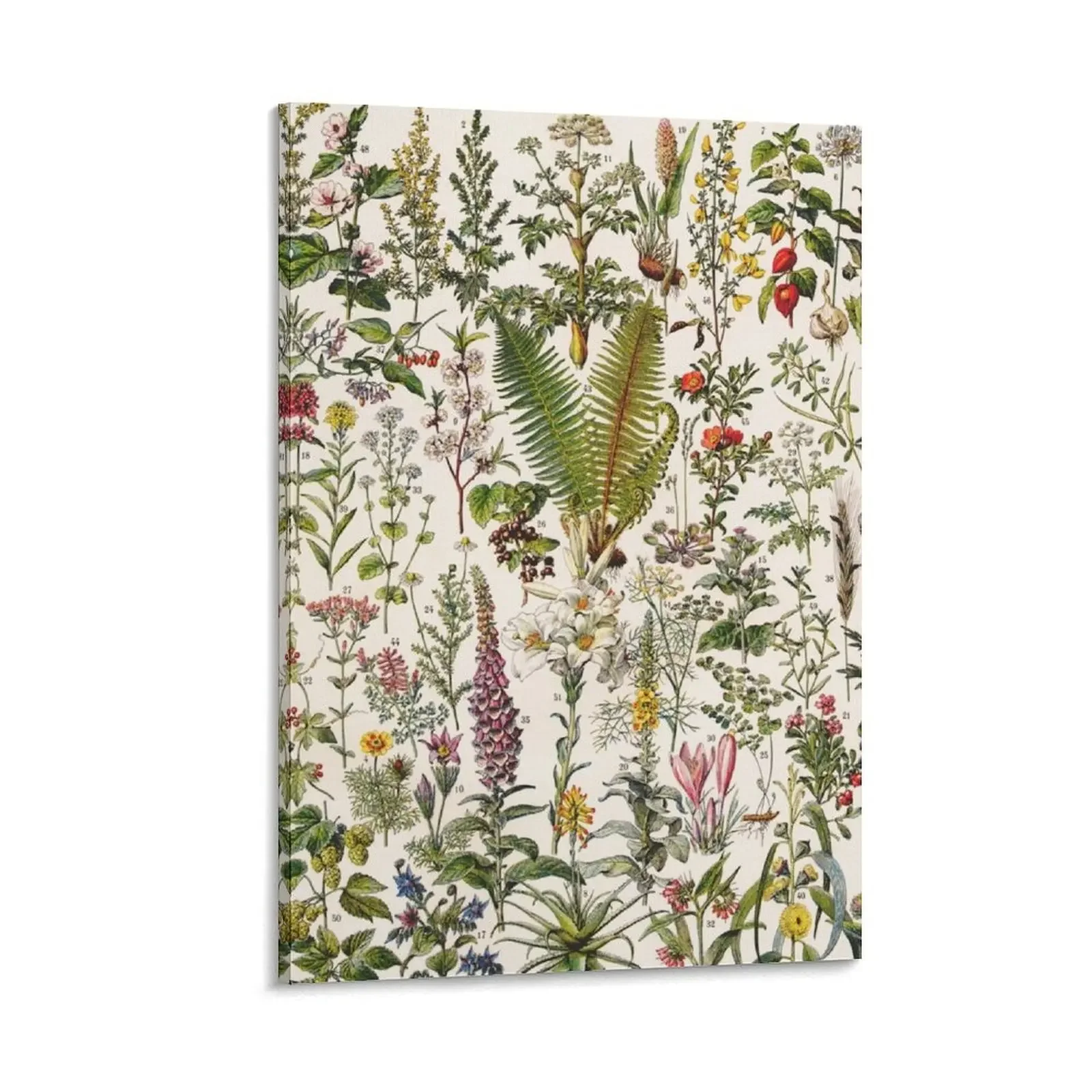 

Adolphe Millot - Plantes Medicinales B - French vintage poster Canvas Painting Posters on the wall Paintings for bedroom