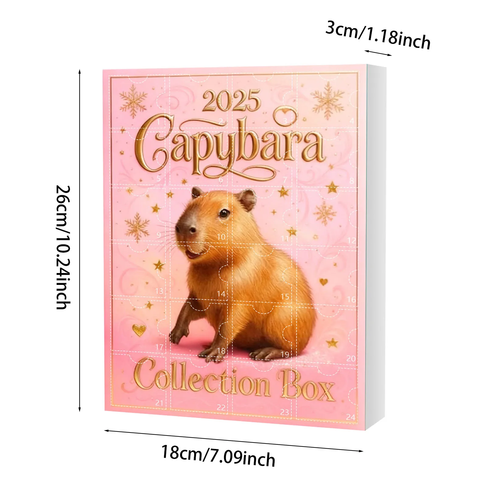 Luci artigianali alimentate a batteria con timer Calendario dell'Avvento Anatomia Ciondolo per il conto alla rovescia di Natale Timer da due minuti per spazzolare i denti