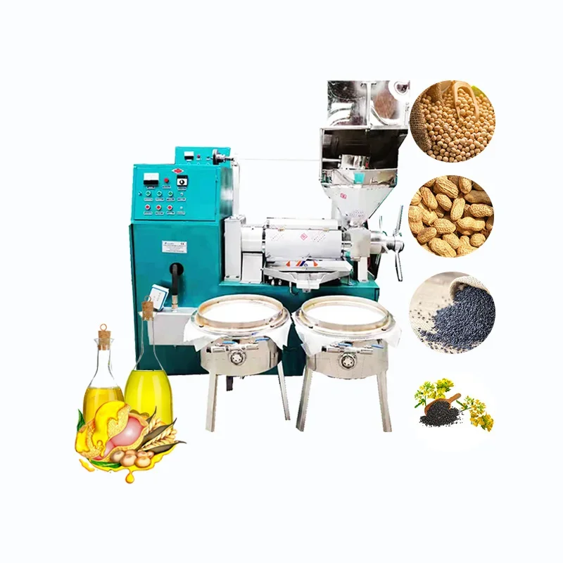 Industrial Cold Screw Home Use Cinnamon Sun Flowers Seed Distillation Oil Press Machine on Sale