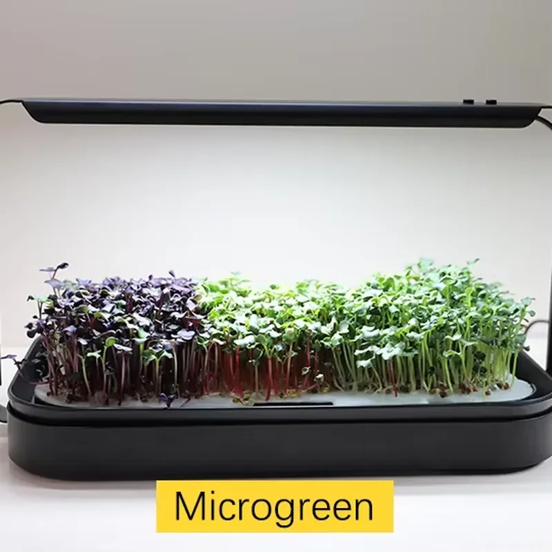 Indoor Home Hydroponic Growing System Automated Timed Function Food-Safe Materials Mini Greenhouse for Seedlings Garden