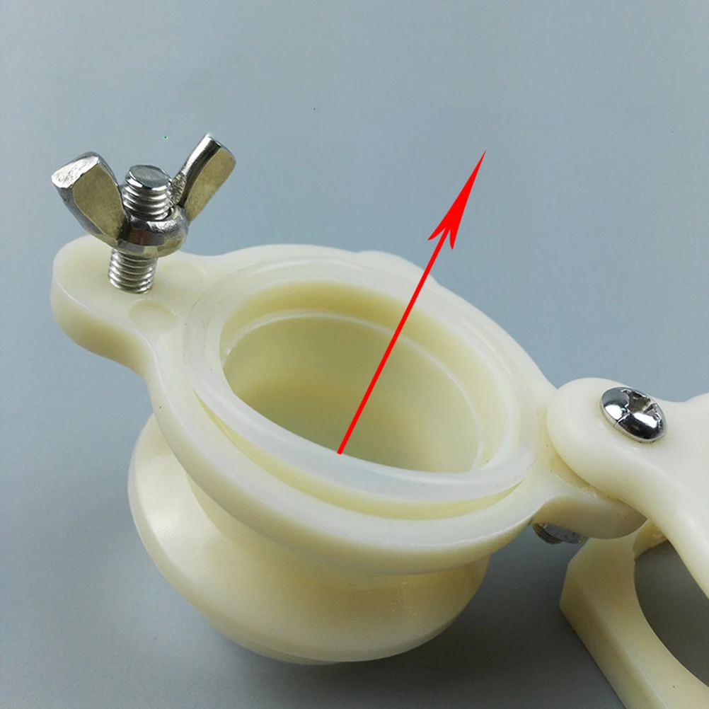 

2 pcs Honey Gate Valves Beekeeping Tools Bottling Bucket for Tank Food Grade Plastic Stainless Steel Equipment