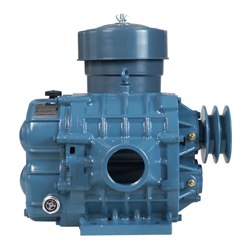 Roots Blower Directly Supplied by the Factory Blower Root to Cement Plant for Use on Complete Equipment