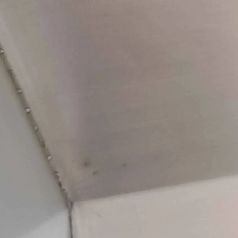 Multi-Function Meat…