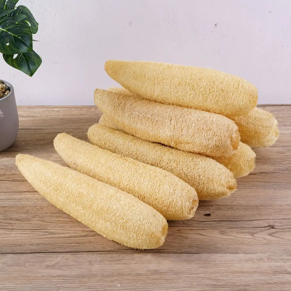 

Multi - Purpose Sealed Natural Loofah Set: Ideal for Bathing as Towel & Brush, Also for Dishwashing - Includes Loofah Pancake