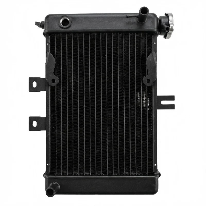 Motorcycle Water Tank Radiator Water Cooler Cooling Fit for 150cc 200cc 250cc Zongshen Engine 4x4 ATV UTV Buggy Quad Bike parts