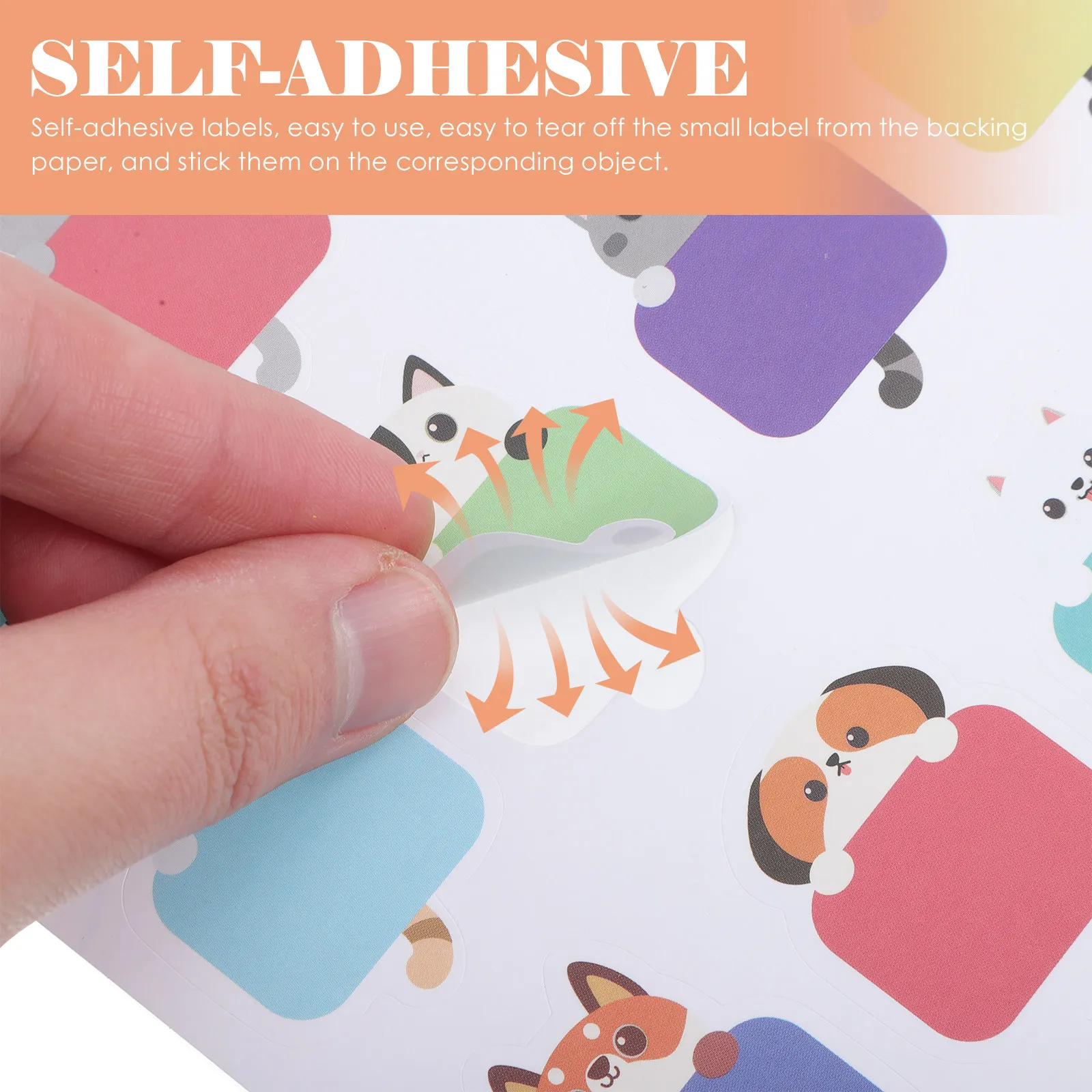

10 Sheets Name Stickers Cute Labels Cat Blank Personalized Tags Safe Bottle Household Teaching Learning